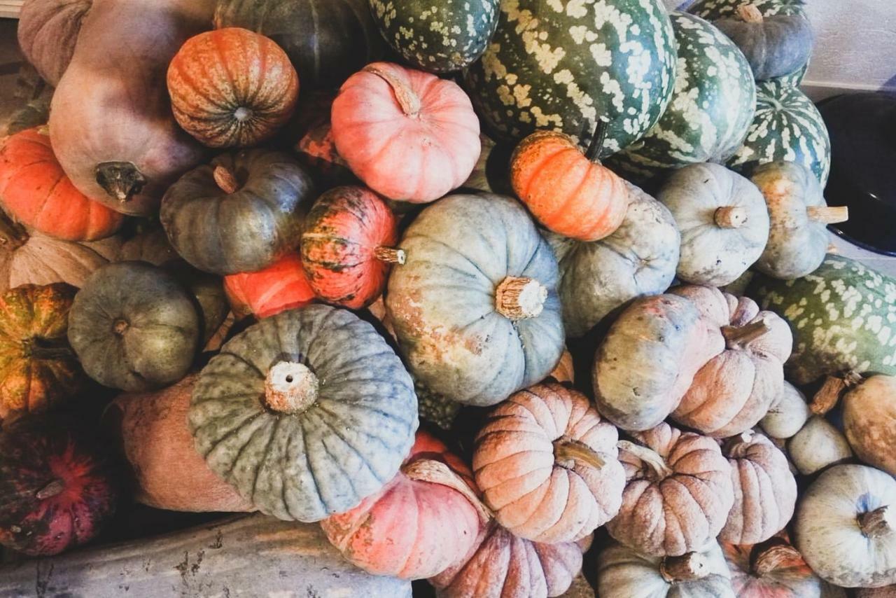 Agriturismo Fiori Di Zucca Fossano Extérieur photo